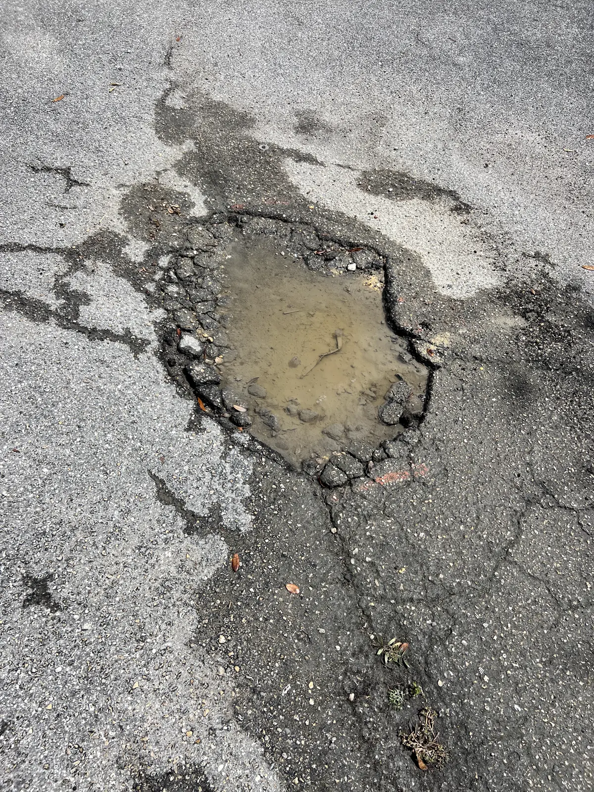 Deep pothole with standing water before asphalt repair at Tampa apartment complex by Radiant Striping