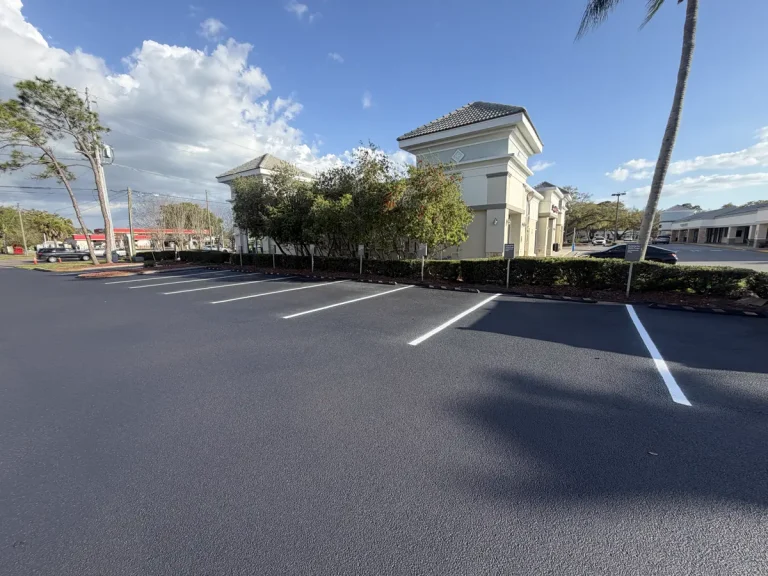 Fresh sealcoating on commercial plaza parking lot with palm trees Tampa Florida by Radiant Striping